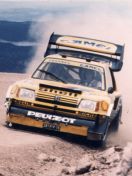 Images/peugeot_205_hillclimb.jpg