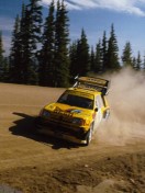 Images/peugeot_205_hillclimb1.jpg